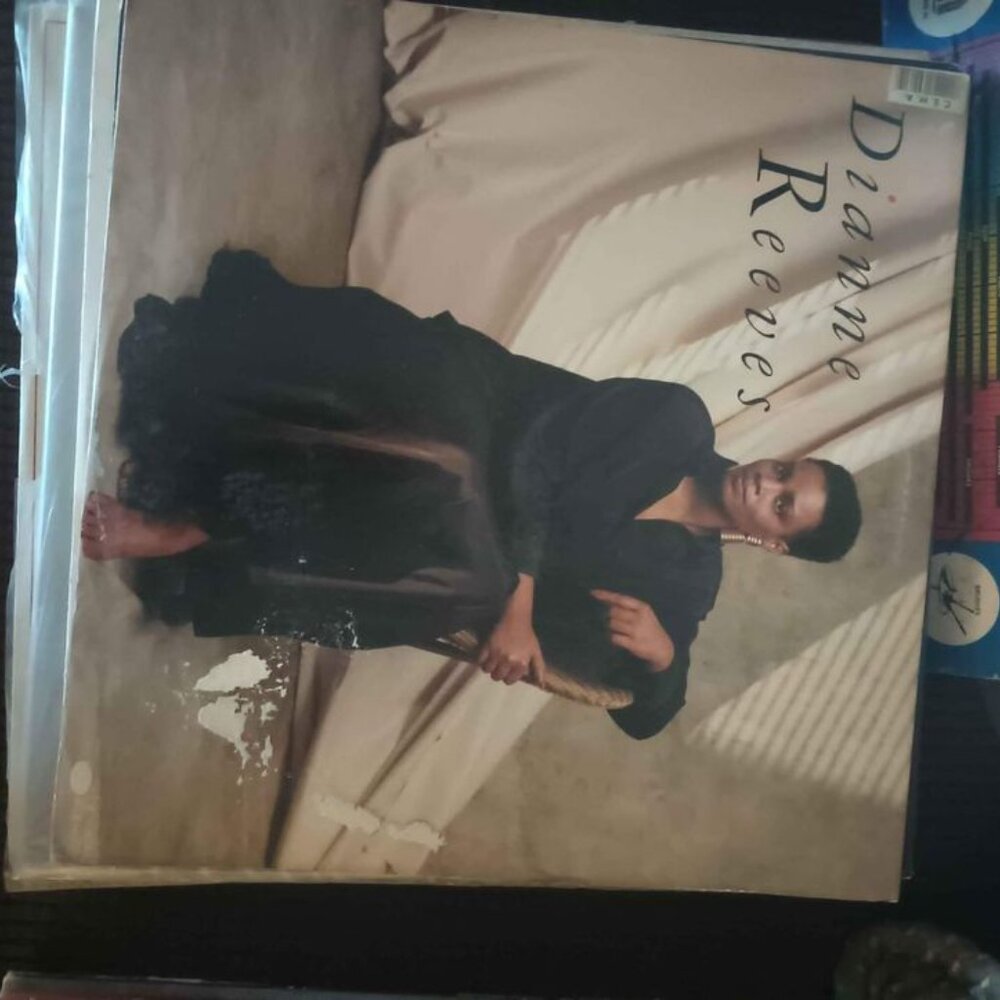 Albums - Picture 2 of 16